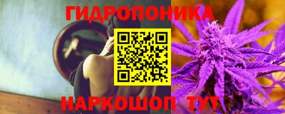 альфа пвп Аргун