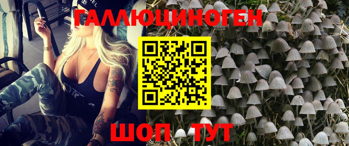 Псилоцибиновые грибы мицелий Белово