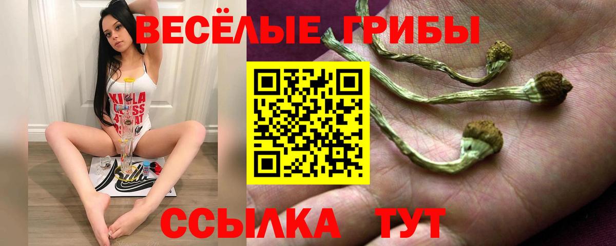 Псилоцибиновые грибы Cubensis  Вход с VPN  Белово 