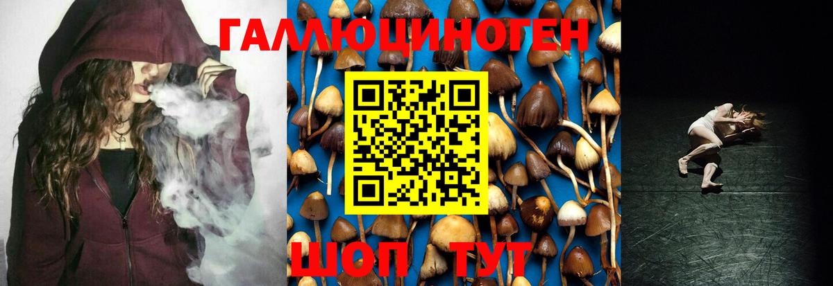 Псилоцибиновые грибы Cubensis Белово