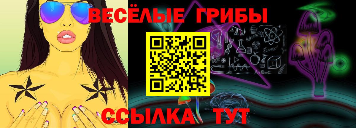 Галлюциногенные грибы Cubensis  Белово 